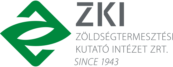 ZKI logo